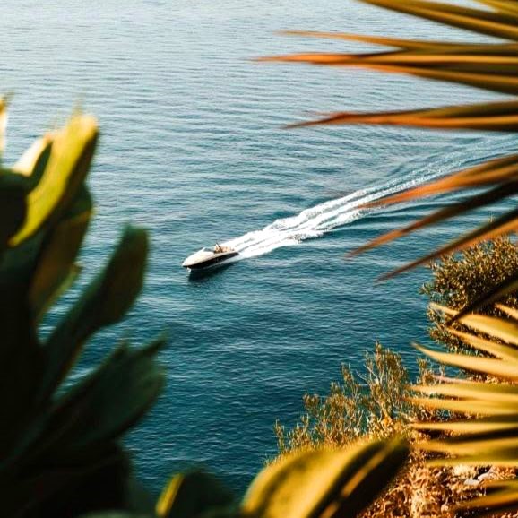A speedboat cutting across deep blue water, seen through palm leaves