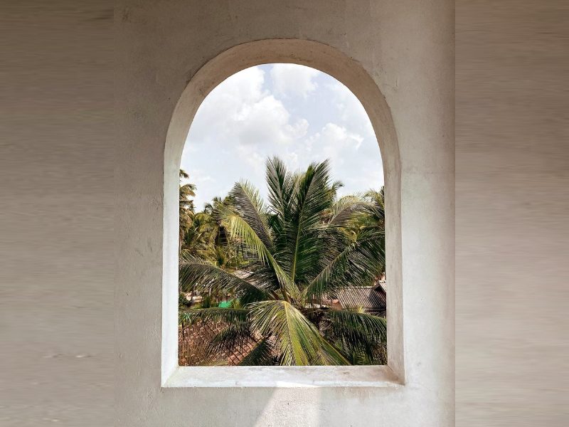 Arched window in a white wall framing palm trees